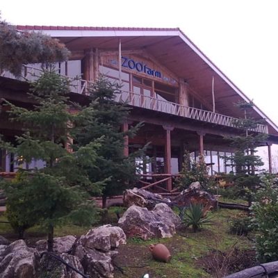 Πωλείται επαγγελματικός χώρος 65 στρέμματα, διαμορφωμένος για φάρμα ζώων.