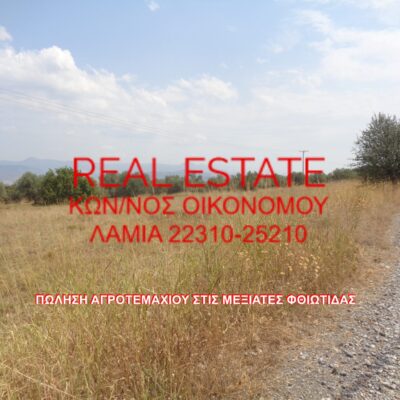 Πωλείται αγροτεμάχιο, στις Μεξιάτες Φθιώτιδας.