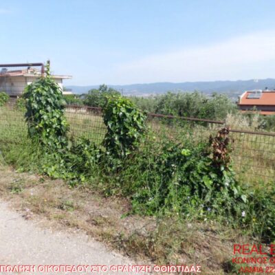 Πωλείται οικόπεδο, στο Φραντζή Φθιώτιδας.