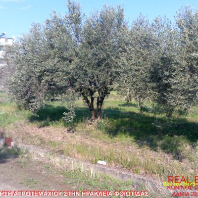 Πωλείται αγροτεμάχιο, στην Ηράκλεια Φθιώτιδας.