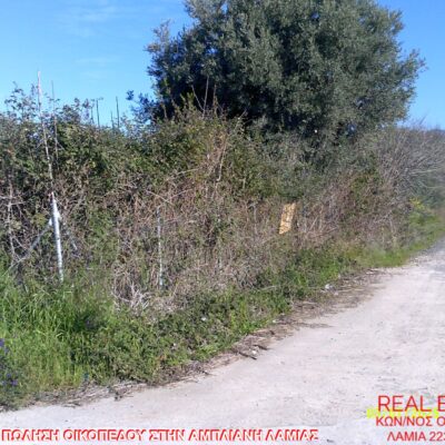Πωλείται οικόπεδο, στην Άμπλιανη Λαμίας.