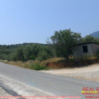 Πωλείται ελαιοπερίβολο, στον δρόμο Φραντζή-Κωσταλέξη