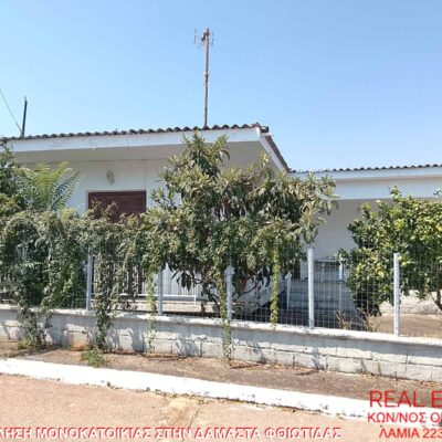Πωλείται μονοκατοικία, στην Δαμάστα Φθιώτιδας.