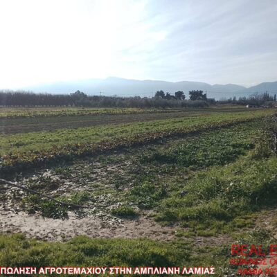 Πωλείται αγροτεμάχιο, στην Άμπλιανη Λαμίας.