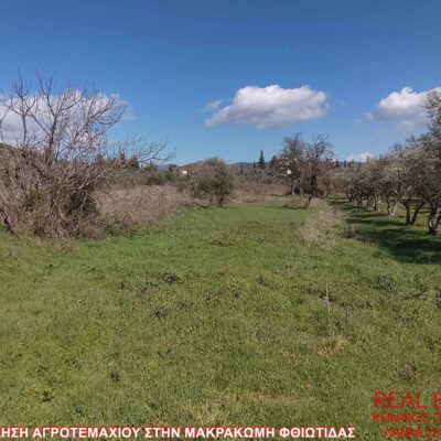 Πωλείται αγροτεμάχιο, στην Μακρακώμη Λαμίας.