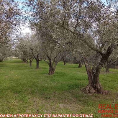Πωλείται αγροτεμάχιο, στο χωριό Βαρδάτες Φθιώτιδας