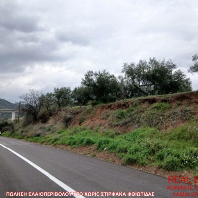 Πωλείται ελαιοπερίβολο, στο χωριό Στίρφακα Φθιώτιδας.